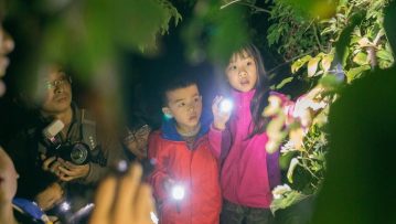城市课程 2 夜观阅读系列课 城市课程 2 夜观阅读系列课